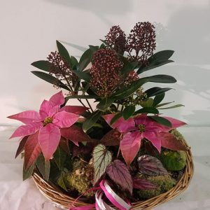 Christmas Basket