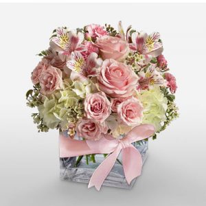 Pink and White Flowers